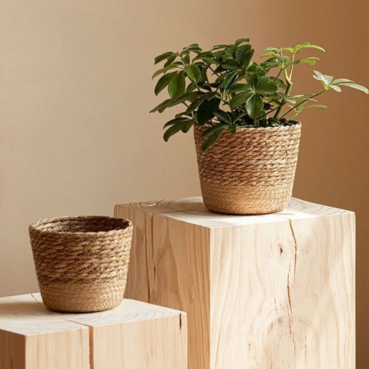 Seagrass woven pot