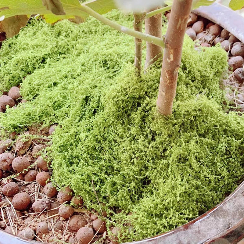 Artificial Moss Decoration