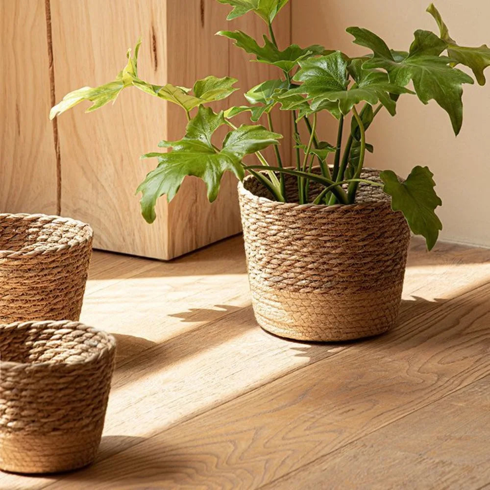 Seagrass woven pot