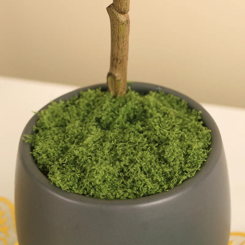 Artificial Moss Decoration