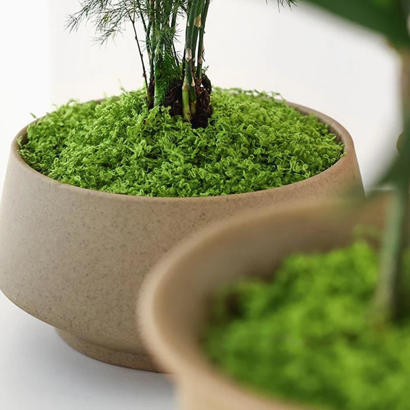 Artificial Moss Decoration