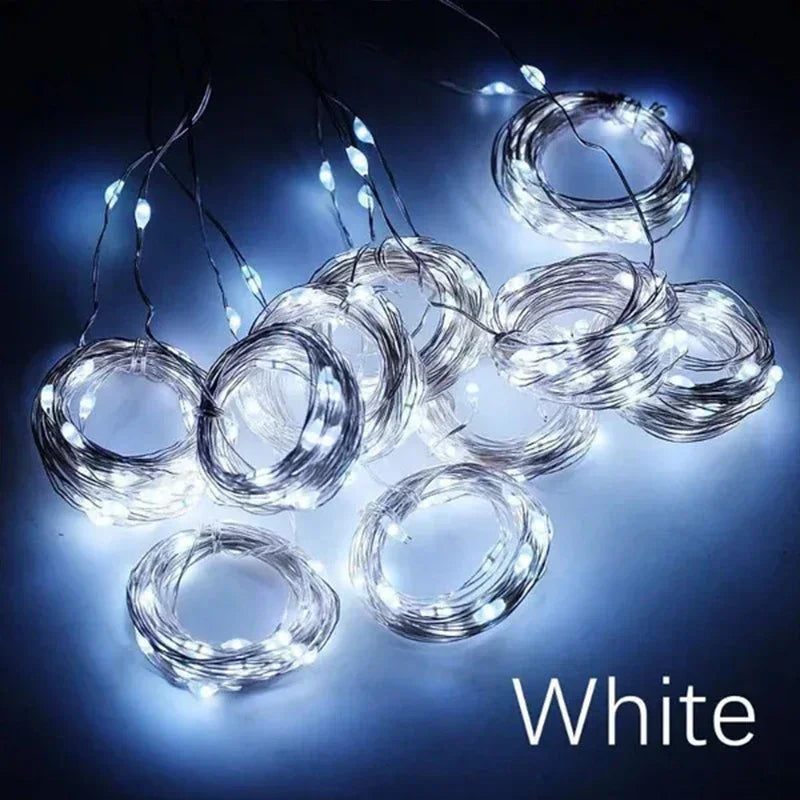 LED Garden String Lights